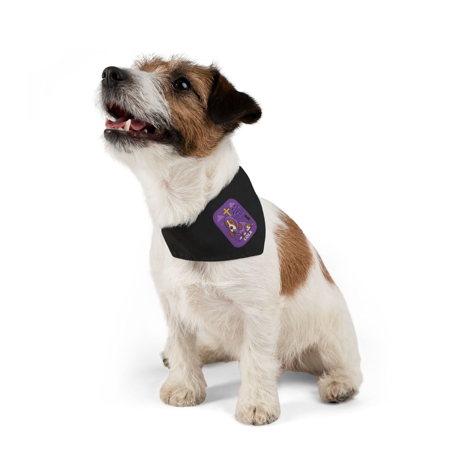 Personalized Dog Band Accessory, Gift for Dog Lana – Custom Pet Name Collar, Cute Petovers
