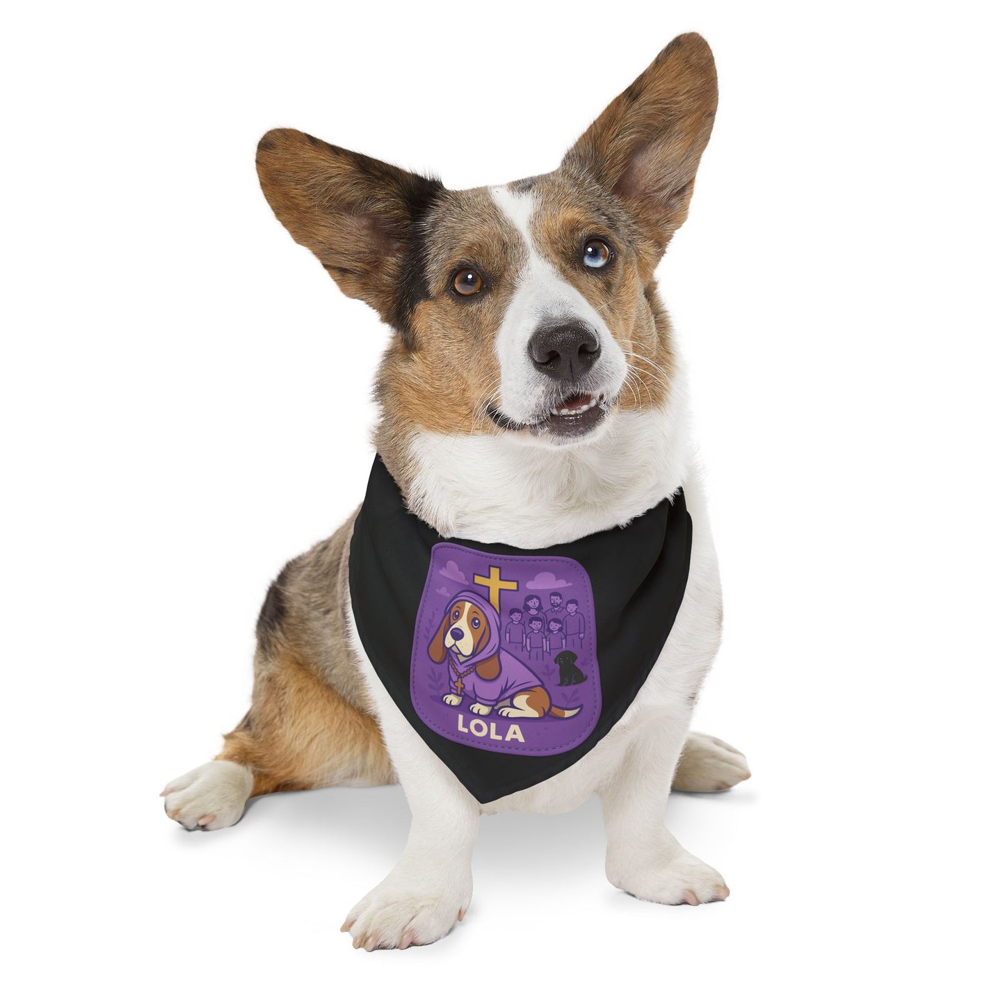 Personalized Dog Band Accessory, Gift for Dog Lana – Custom Pet Name Collar, Cute Petovers