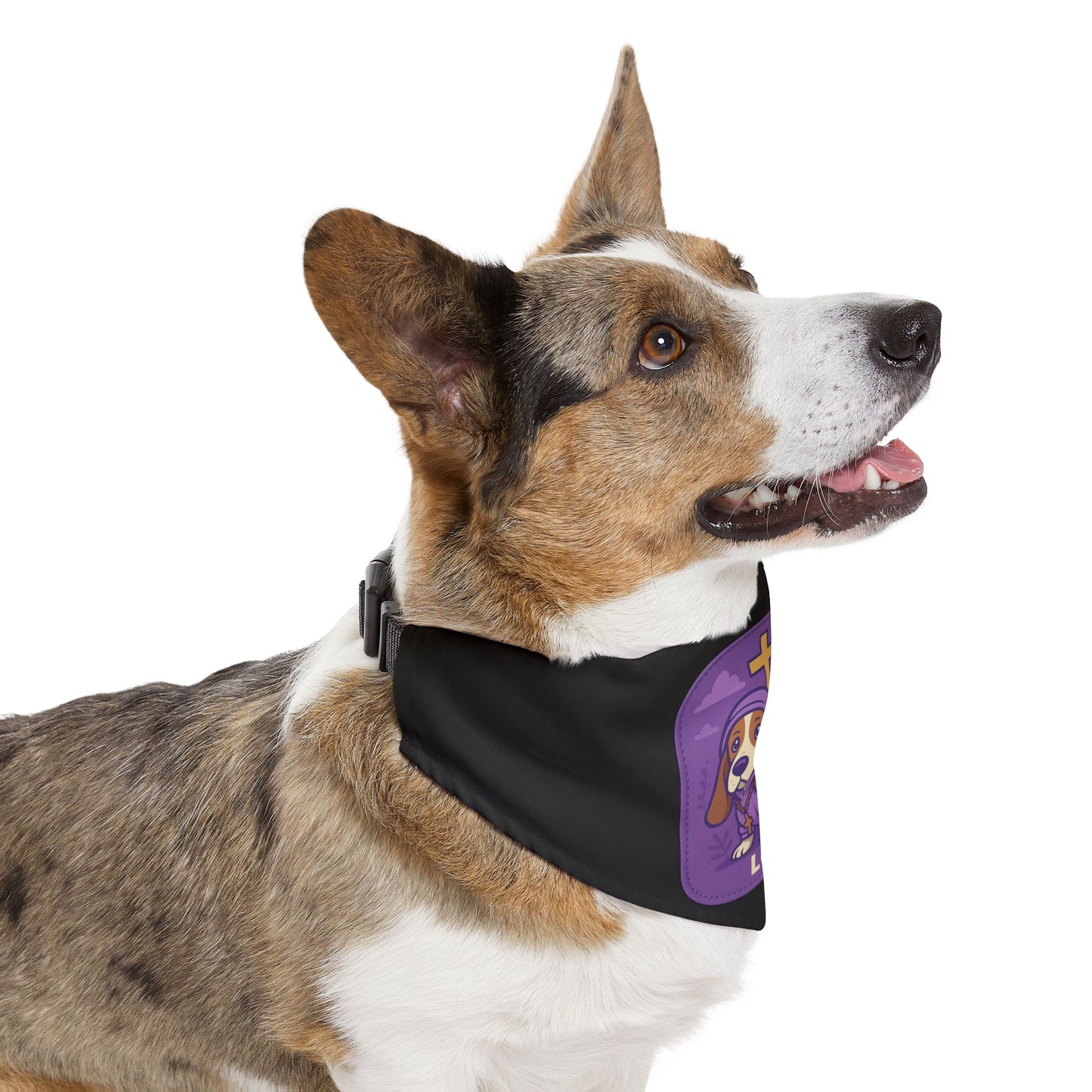 Personalized Dog Band Accessory, Gift for Dog Lana – Custom Pet Name Collar, Cute Petovers